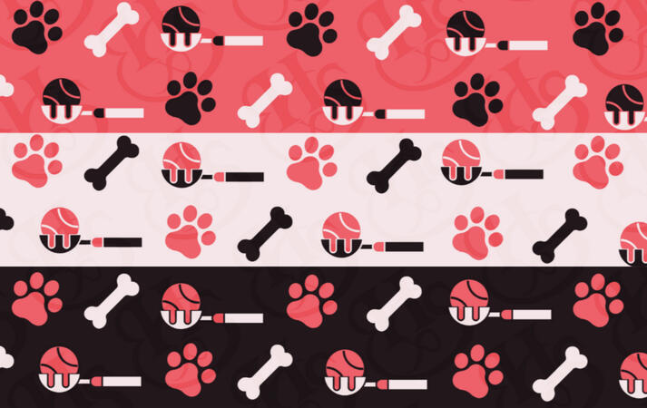 Pawberry Sundae Brand Design
